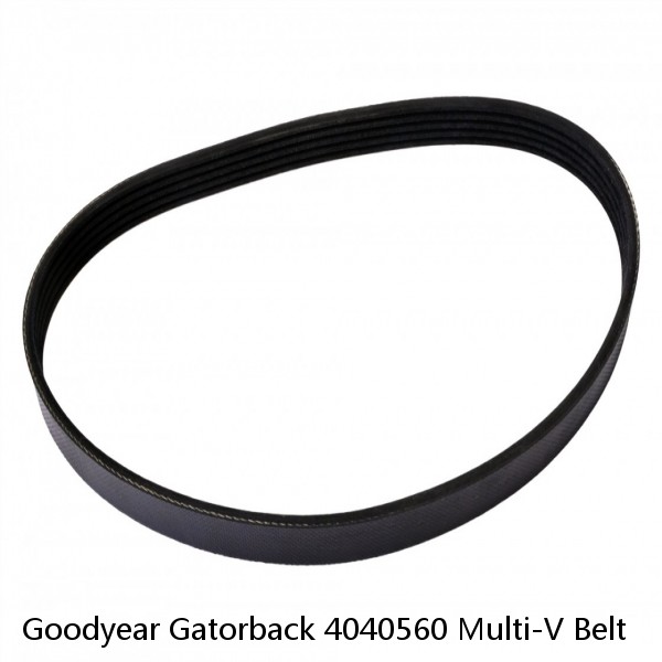 Goodyear Gatorback 4040560 Multi-V Belt