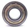 55 mm x 140 mm x 33 mm  ISB NU 411 cylindrical roller bearings