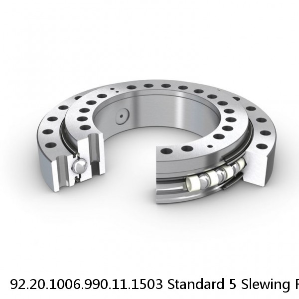 92.20.1006.990.11.1503 Standard 5 Slewing Ring Bearings