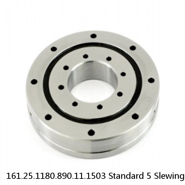 161.25.1180.890.11.1503 Standard 5 Slewing Ring Bearings #1 small image
