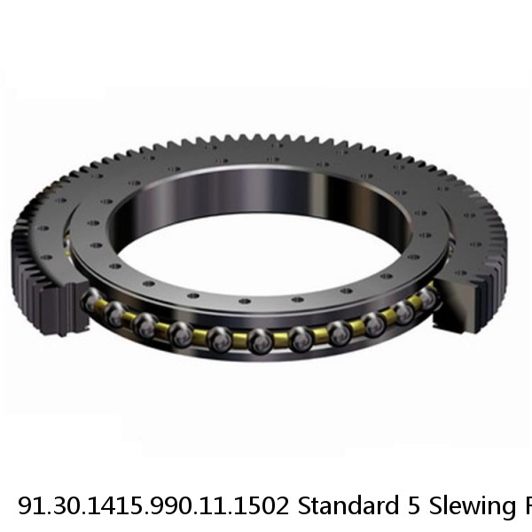 91.30.1415.990.11.1502 Standard 5 Slewing Ring Bearings #1 small image