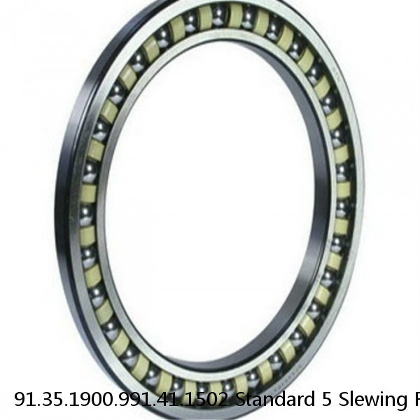 91.35.1900.991.41.1502 Standard 5 Slewing Ring Bearings #1 small image