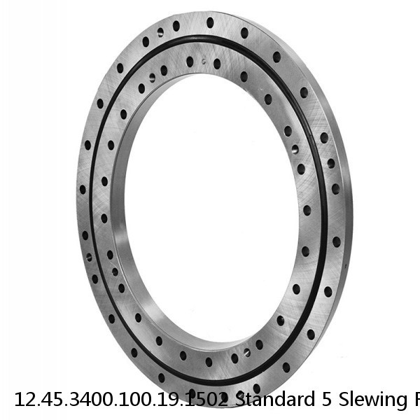 12.45.3400.100.19.1502 Standard 5 Slewing Ring Bearings #1 small image