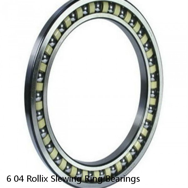 6 04 Rollix Slewing Ring Bearings