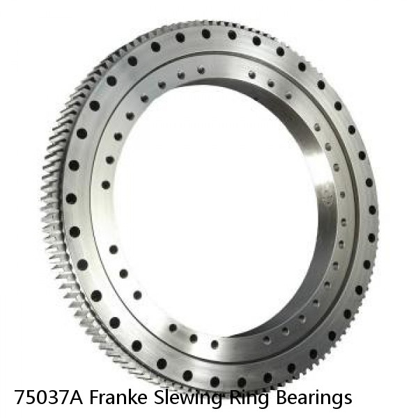 75037A Franke Slewing Ring Bearings