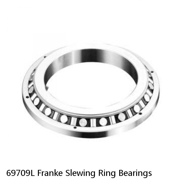 69709L Franke Slewing Ring Bearings #1 small image