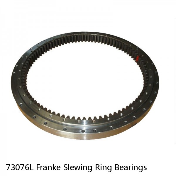 73076L Franke Slewing Ring Bearings #1 small image