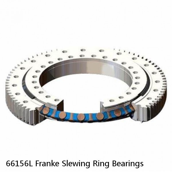 66156L Franke Slewing Ring Bearings #1 small image