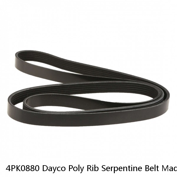 4PK0880 Dayco Poly Rib Serpentine Belt Made In USA Free Shipping #1 small image