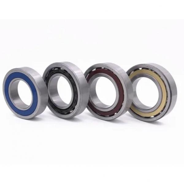 40 mm x 55 mm x 40 mm  ISO RNAO40x55x40 cylindrical roller bearings #1 image