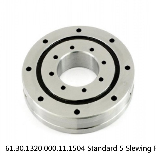 61.30.1320.000.11.1504 Standard 5 Slewing Ring Bearings #1 image