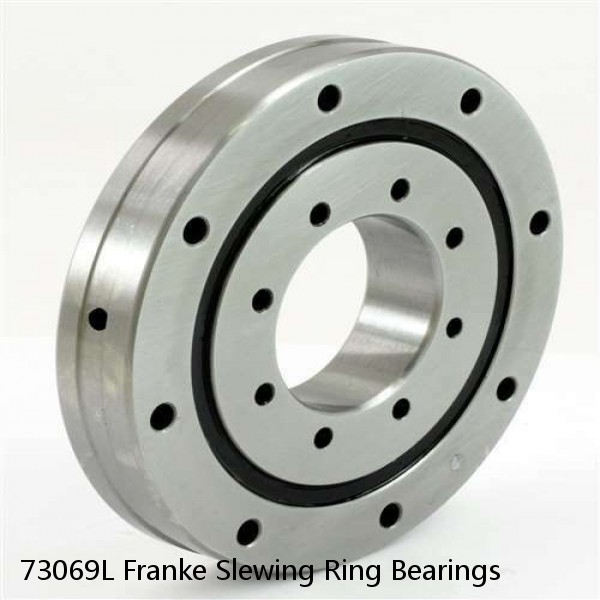 73069L Franke Slewing Ring Bearings #1 image
