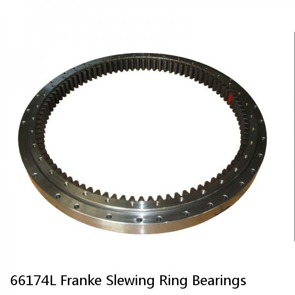 66174L Franke Slewing Ring Bearings #1 image