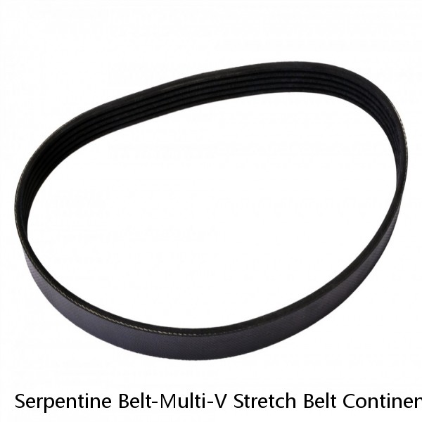Serpentine Belt-Multi-V Stretch Belt Continental Elite 4040329S #1 image