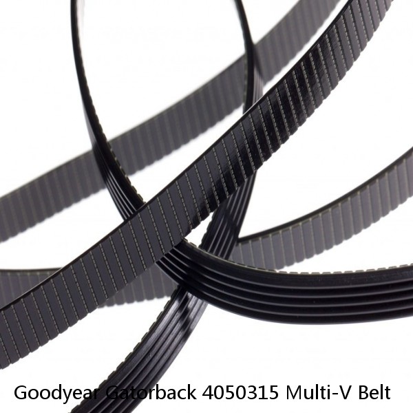 Goodyear Gatorback 4050315 Multi-V Belt #1 image